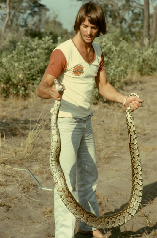 奥斯汀·史蒂文斯