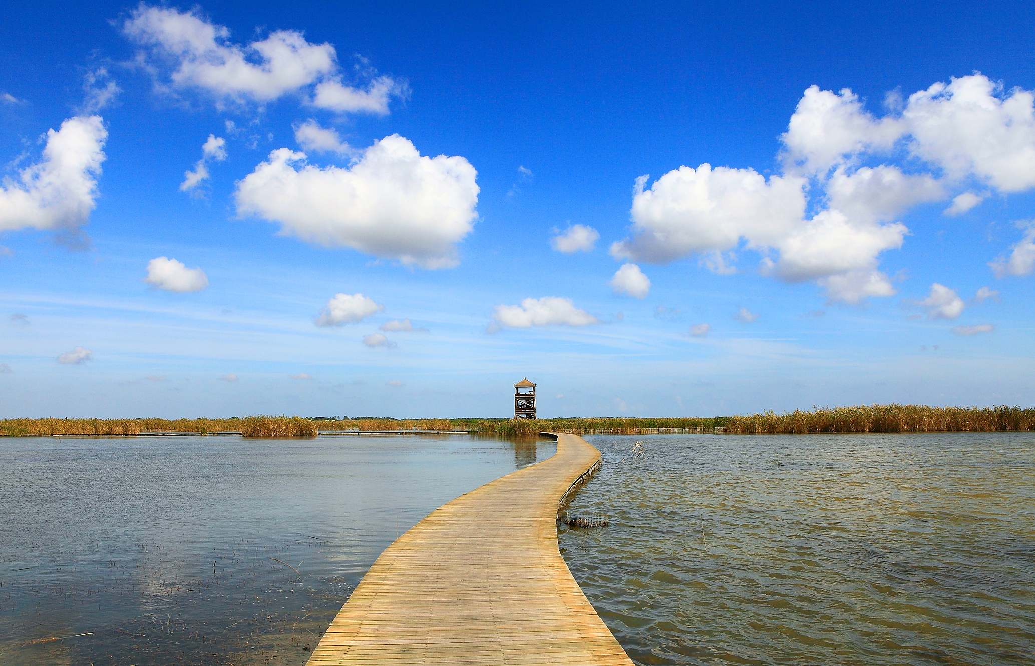 江苏盐城沿海滩涂湿地