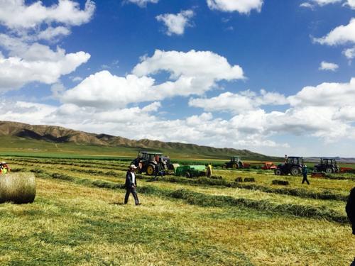  p>河卡镇,隶属于 a href="#" data-lemmaid="19428913">青海省 /a> a