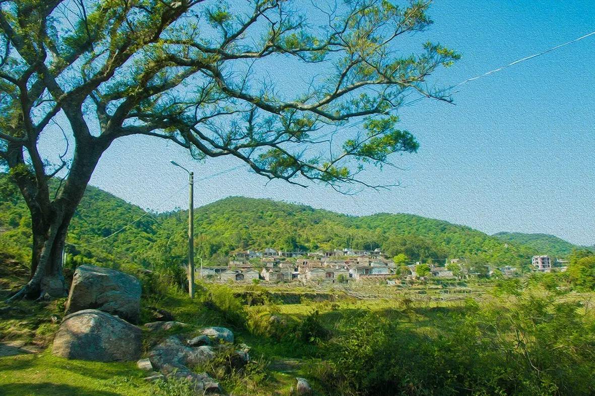 惠安村 全网资源