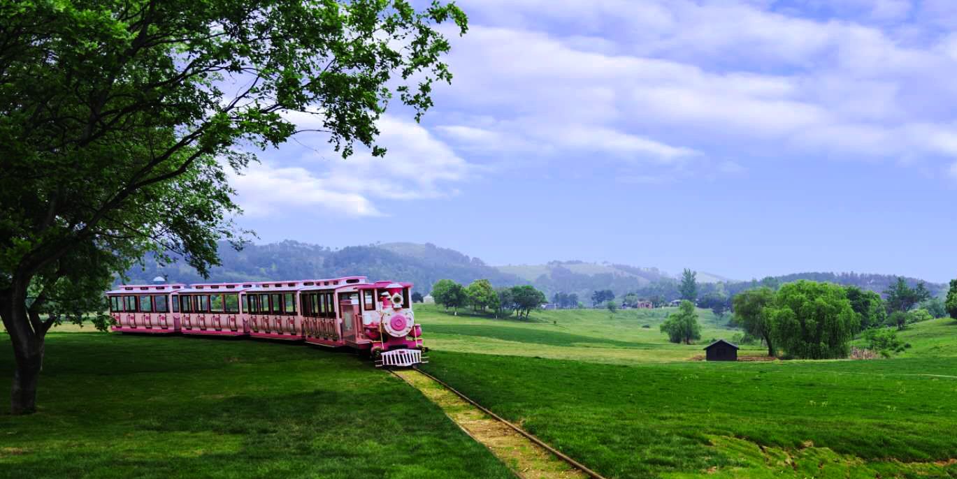  p data-id="go0gmjvw9p">木兰草原位于湖北省武汉市黄陂区 a target=