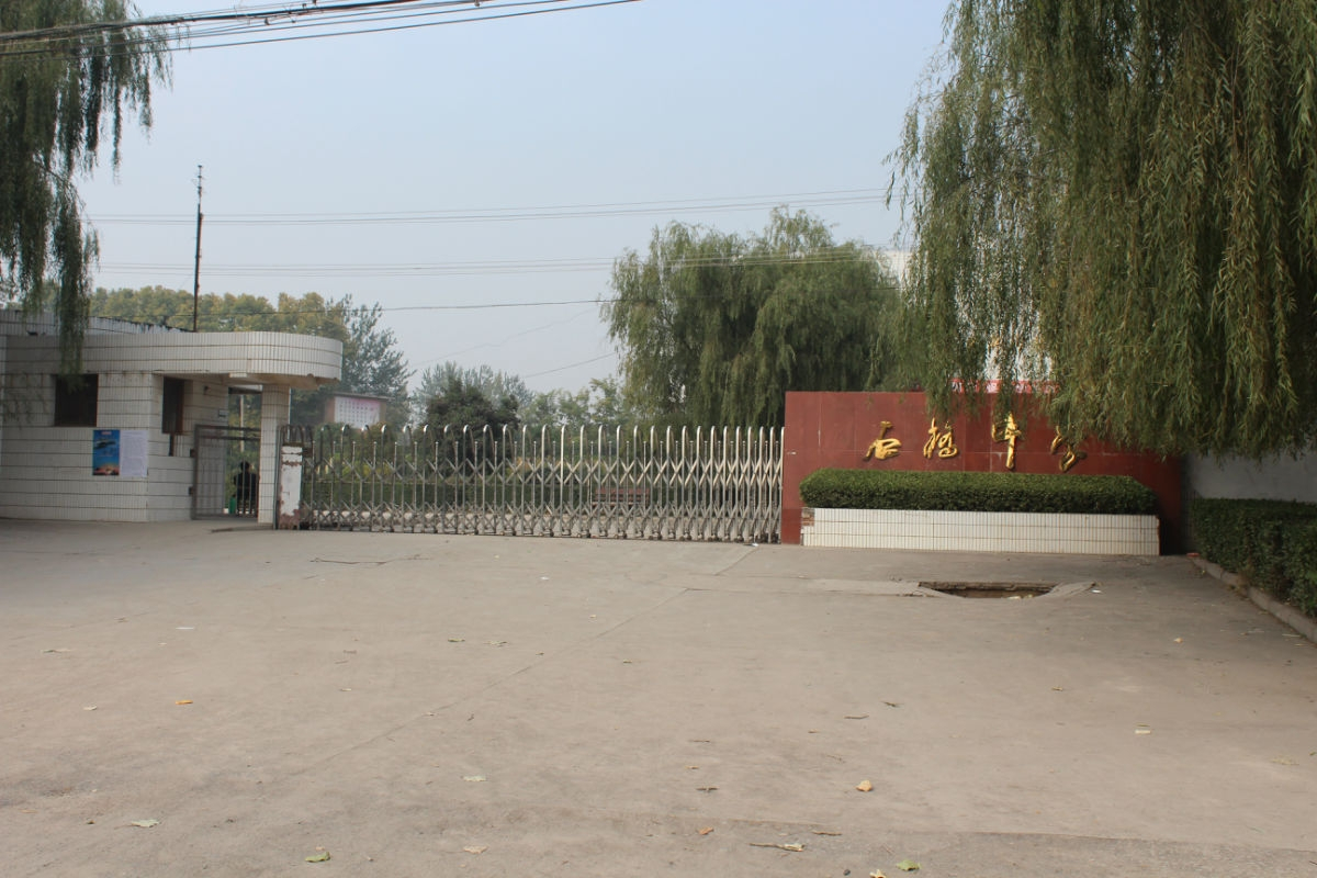 泾阳县石桥中学