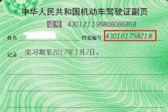 驾驶证档案编号