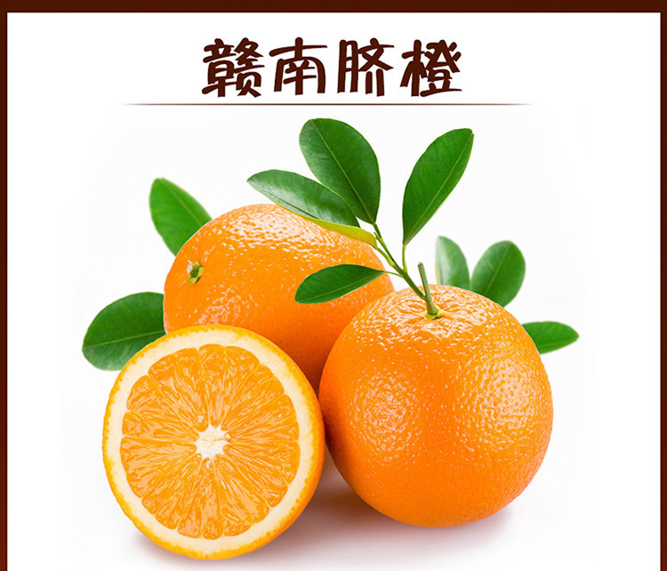 赣南脐橙：橙子里的奇葩_百科TA说