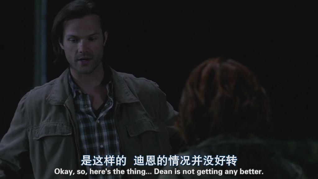 邪恶力量第十季