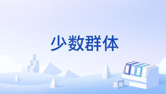 少数群体_百度百科
