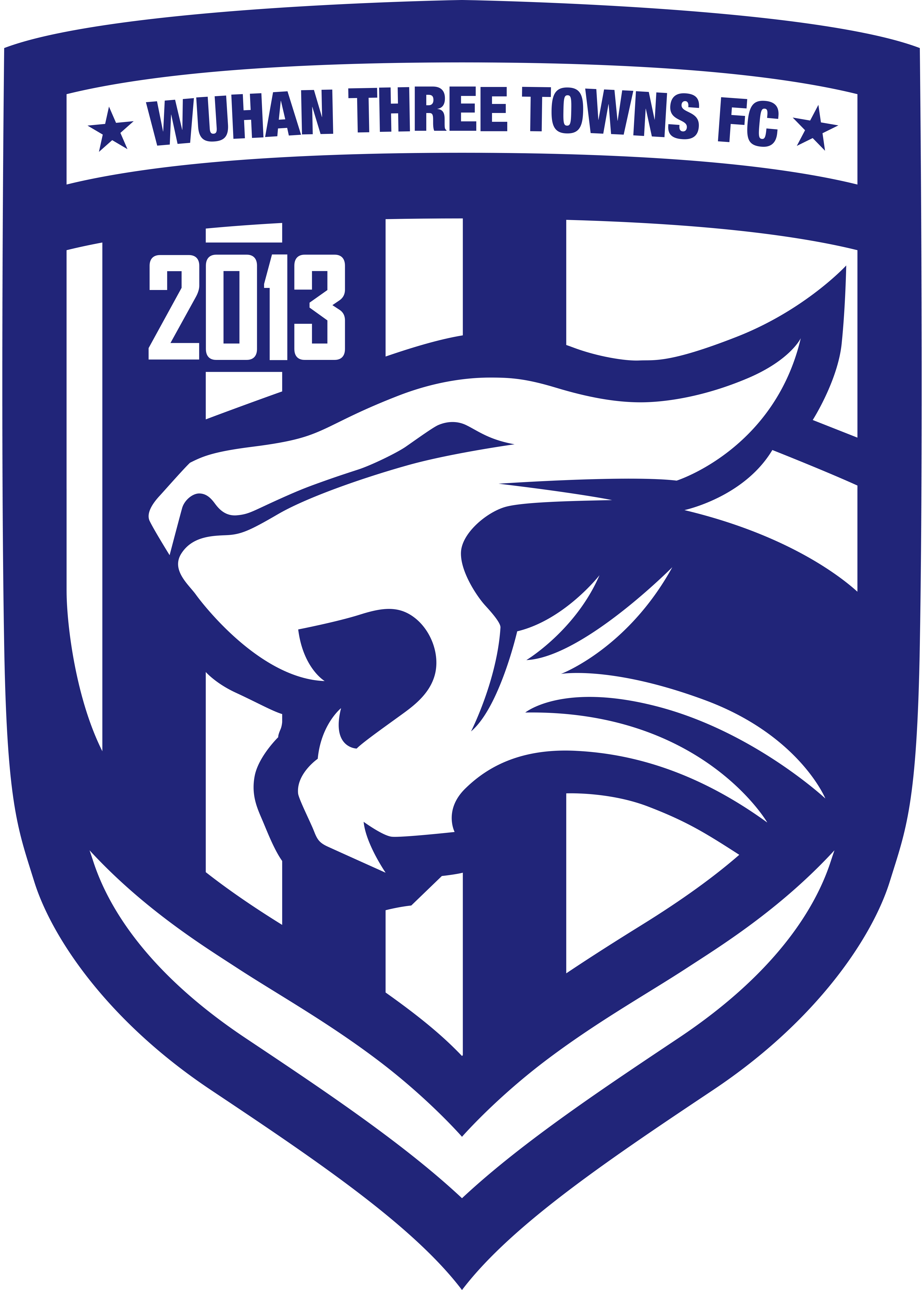 武汉尚文足球俱乐部