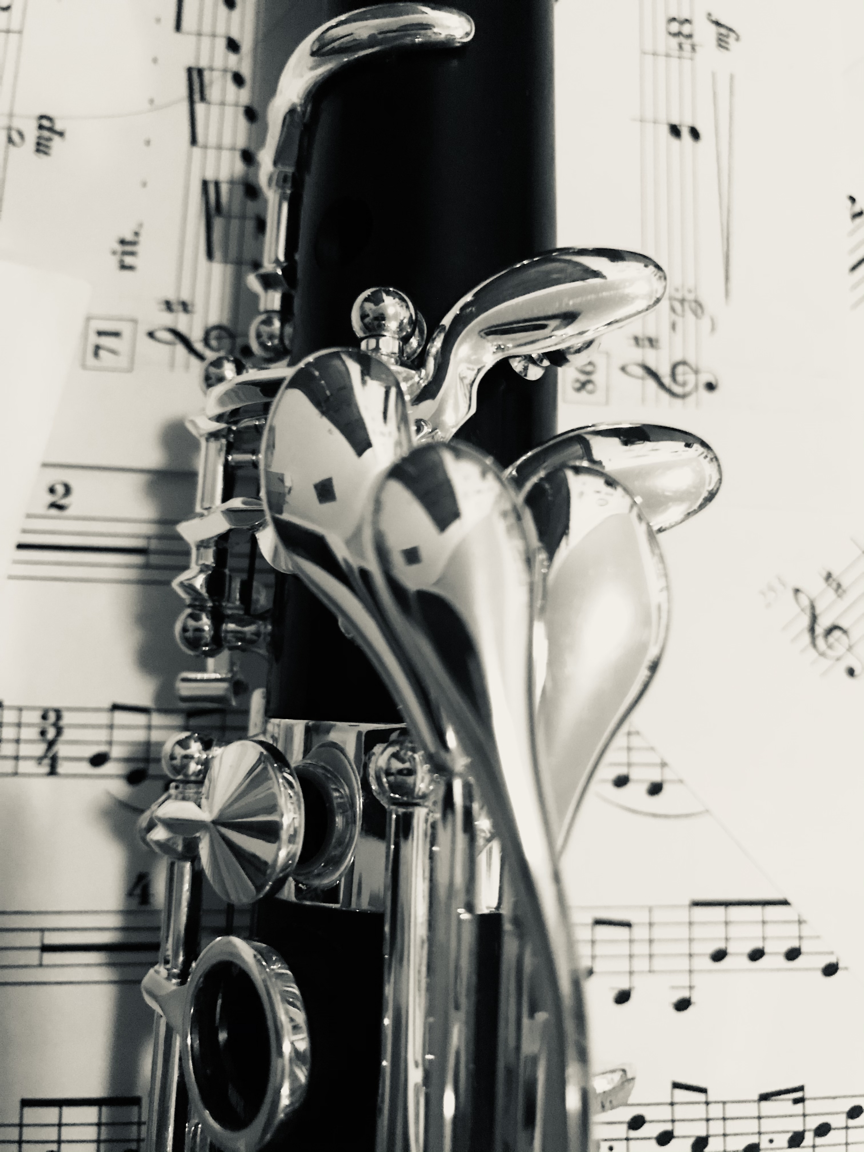 307159" data-lemmaid="307159">唢呐 /a> /i> i>的改良型乐器 /i>