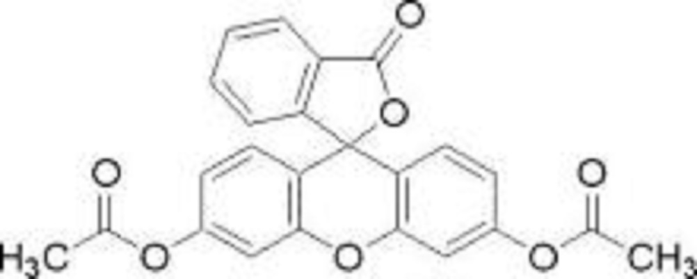 二乙酸荧光素