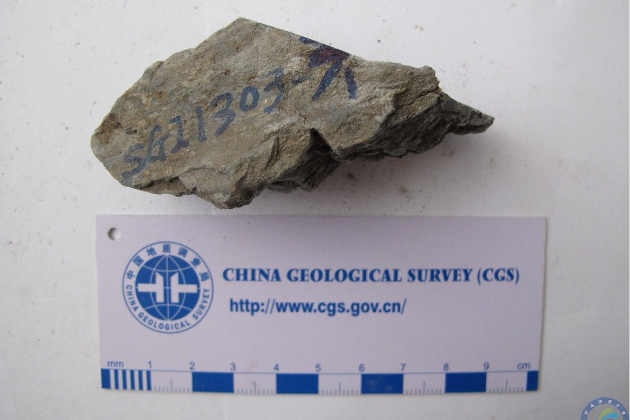 糜棱岩化粉砂质泥岩