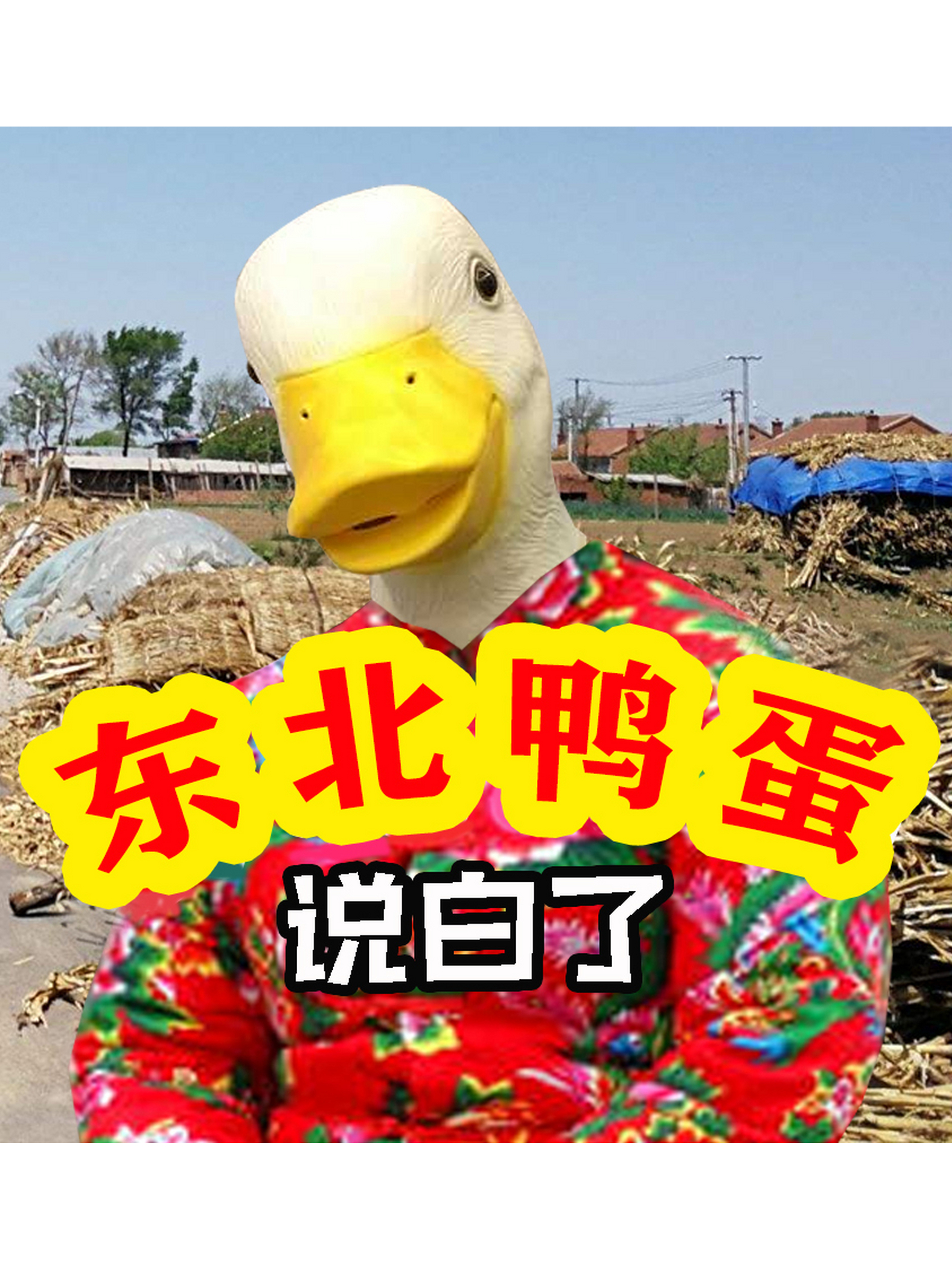 东北鸭蛋说白了
