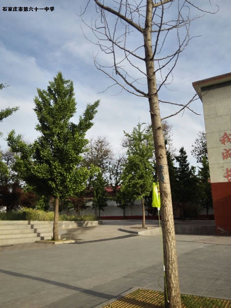 石家庄市第61中学