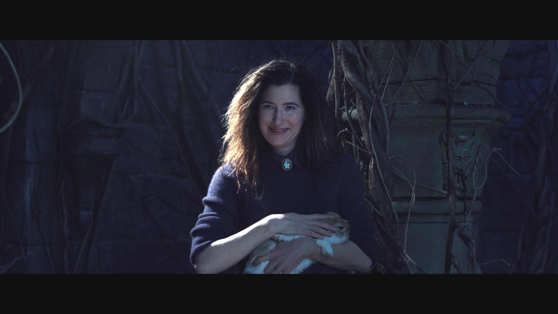 阿加莎·哈克尼斯