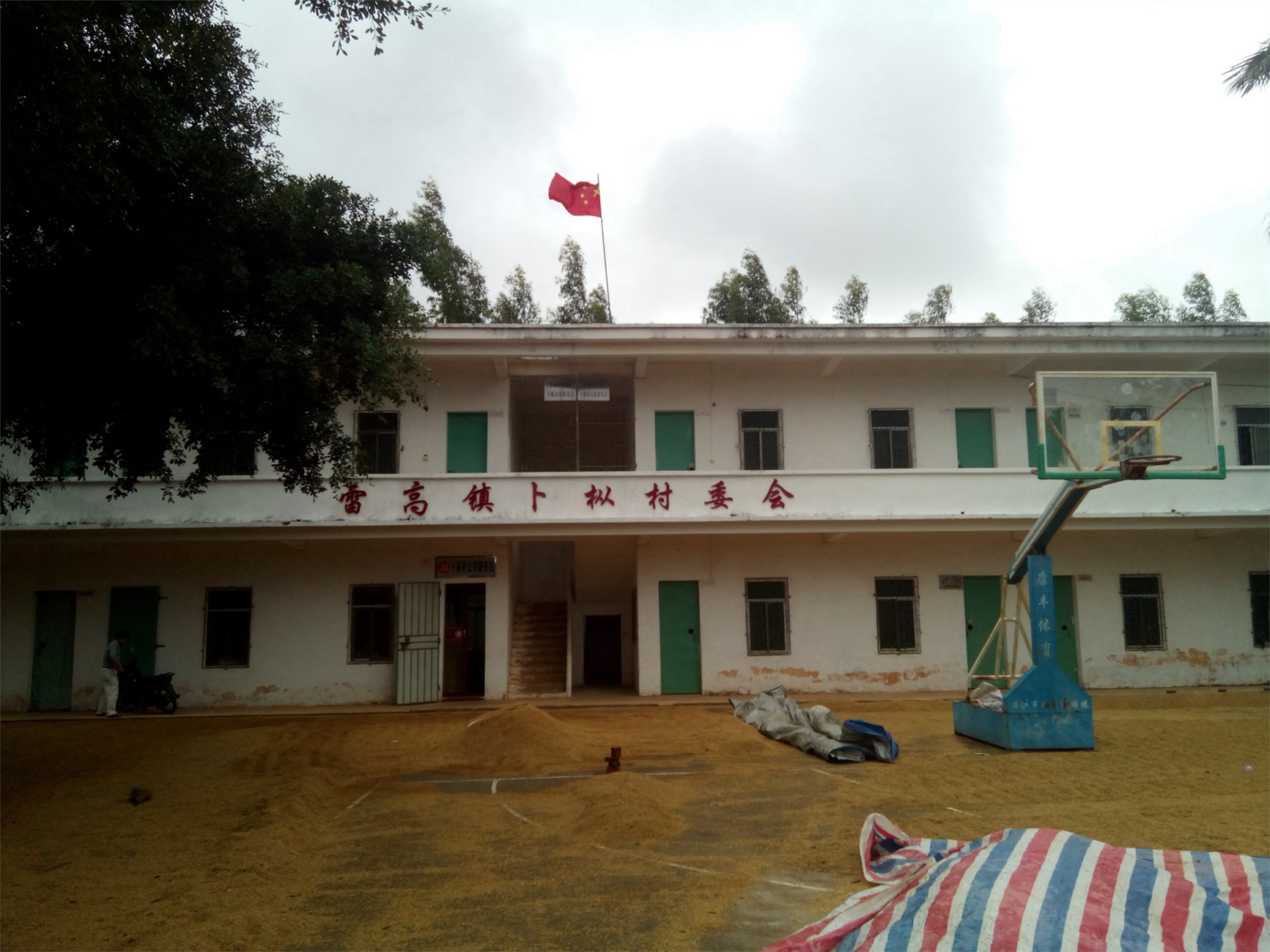 雷高镇