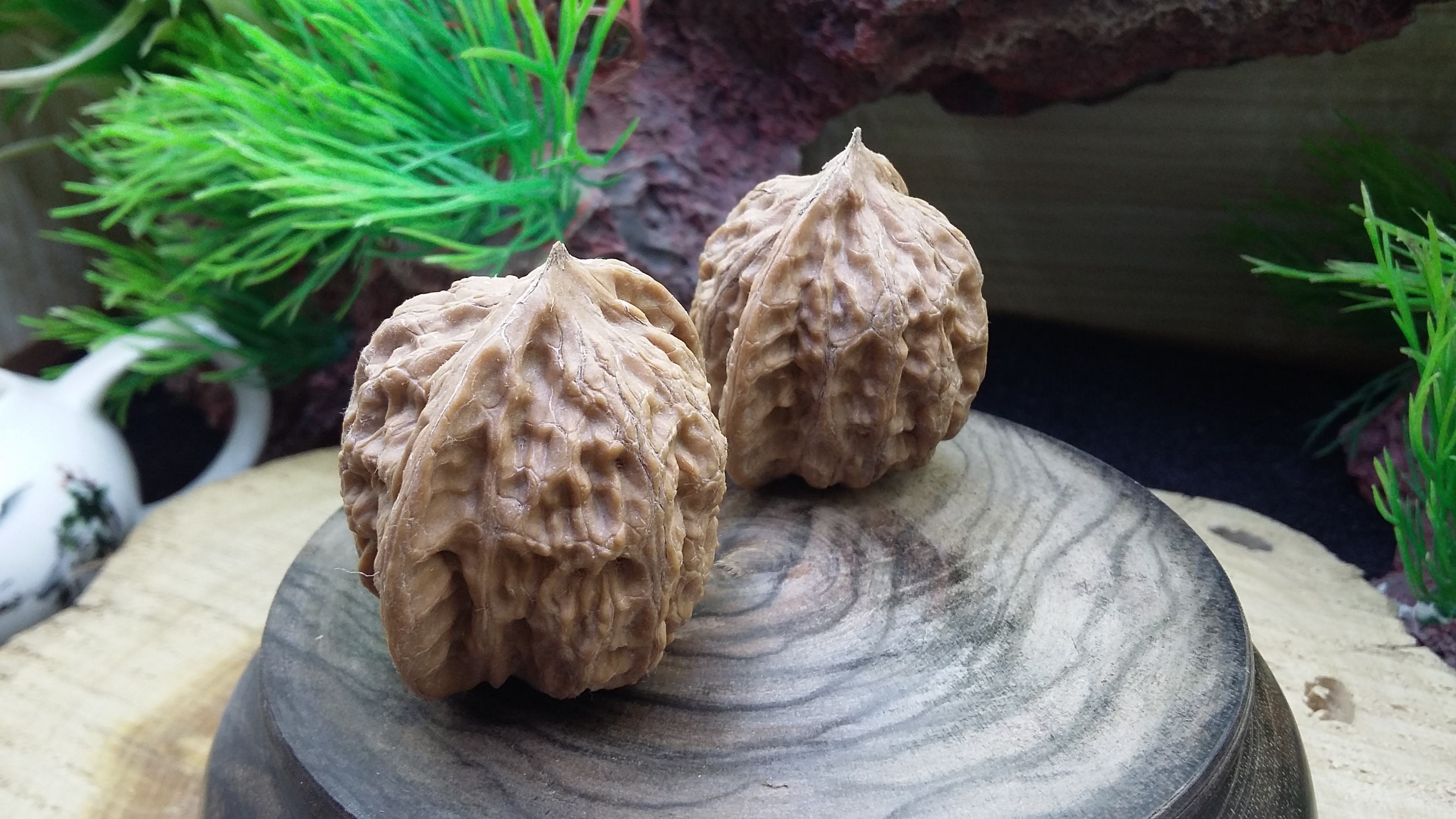 target="_blank" href="/item/涞水县/10883420" data-lemmaid="1