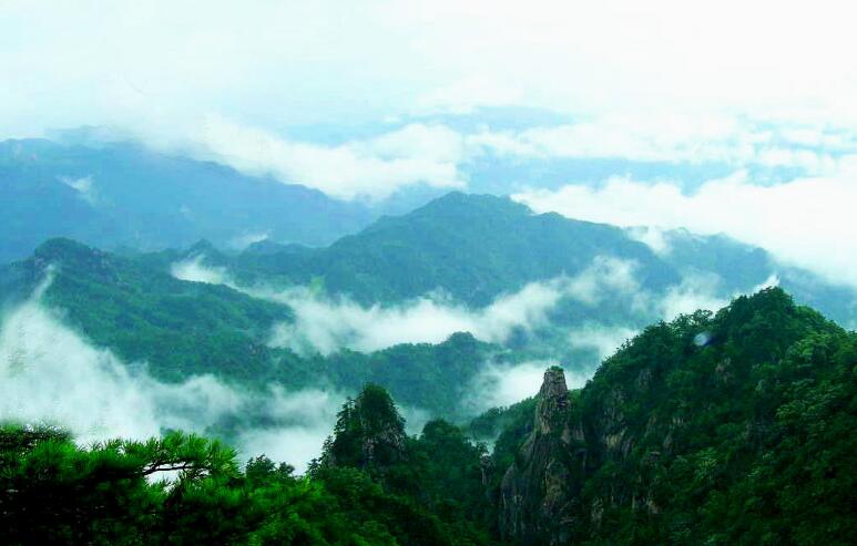 河南省伏牛山国家级自然保护区