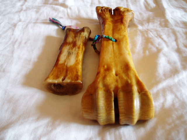 虎骨常见四腿骨,"凤眼","邦骨"最显著,爪钩皮毛易辨认,祛风定痛健筋骨