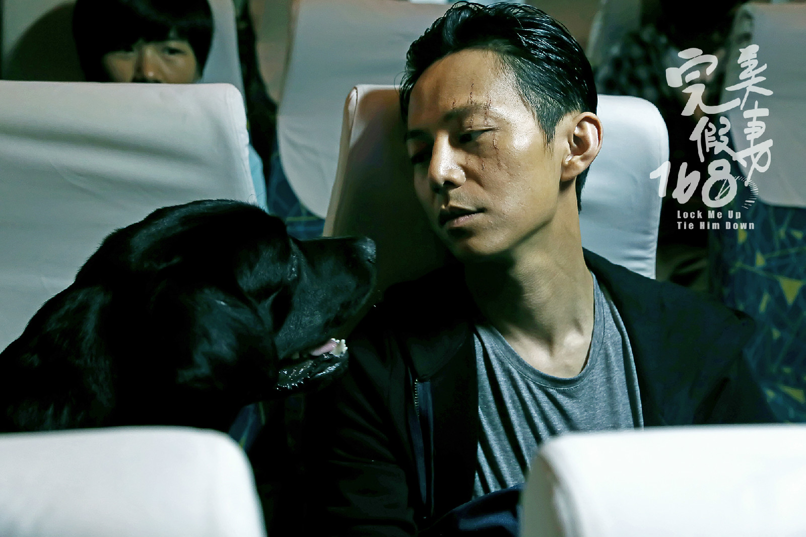 ="257352">徐若瑄 /a>, a href="#" data-lemmaid="872394">何炅 /a>