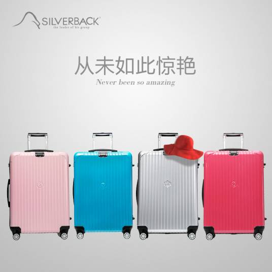 silverback_百度百科