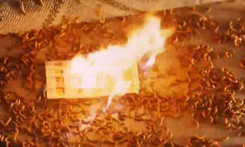 生人勿近之邪花