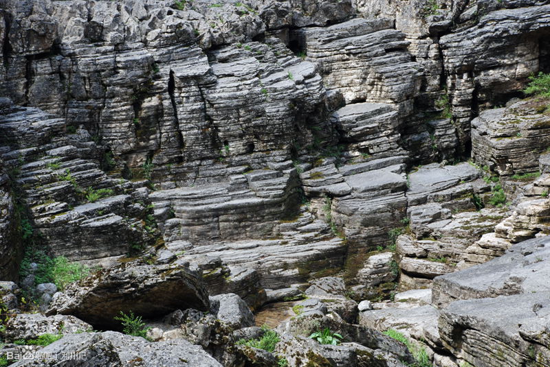 data-lemmaid="31692">清江 /a>古河床位于湖北省利川市,总长8公里