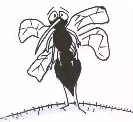 为什么蚊子不会被雨砸死