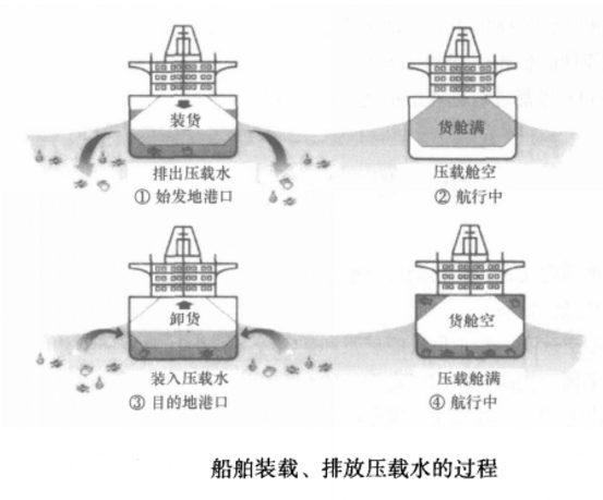  p>船舶的压载水舱(ballast tank)是放置 a href="#">压载水 /a>的
