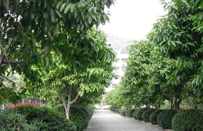  p>浙江省平阳师范学校,简称平阳师范或平师,原温州市属 a href="#"