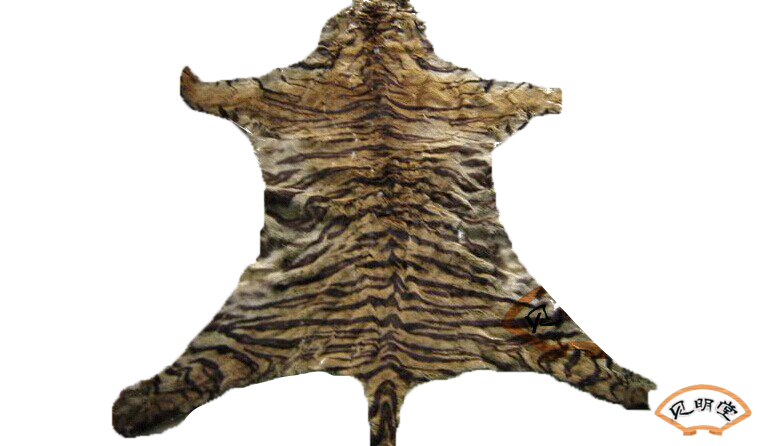 清代华南虎虎皮