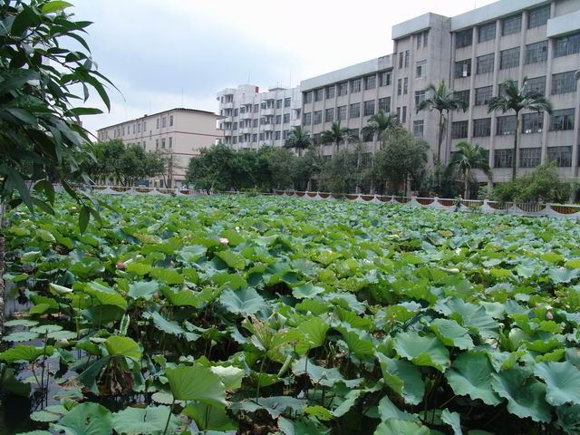 贵港市江南中学