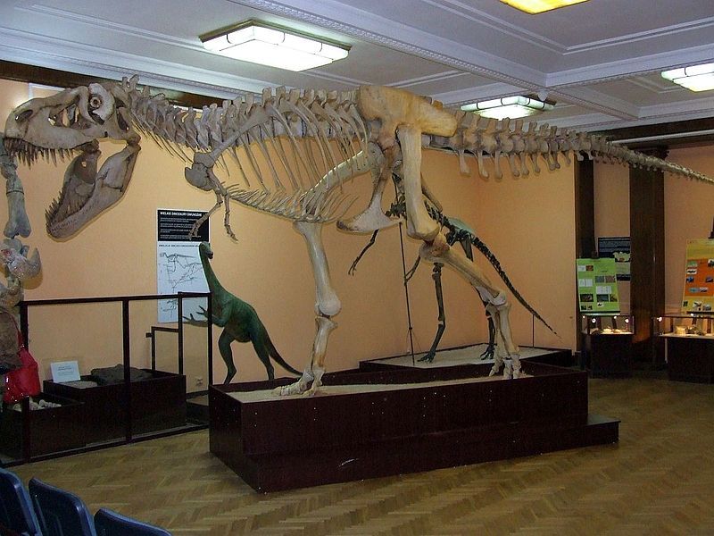  p>特暴龙(学名:tarbosaurus)意为"令人害怕的 a