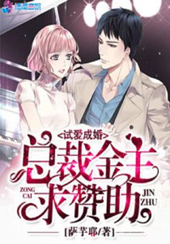 试爱成婚:总裁金主求赞助