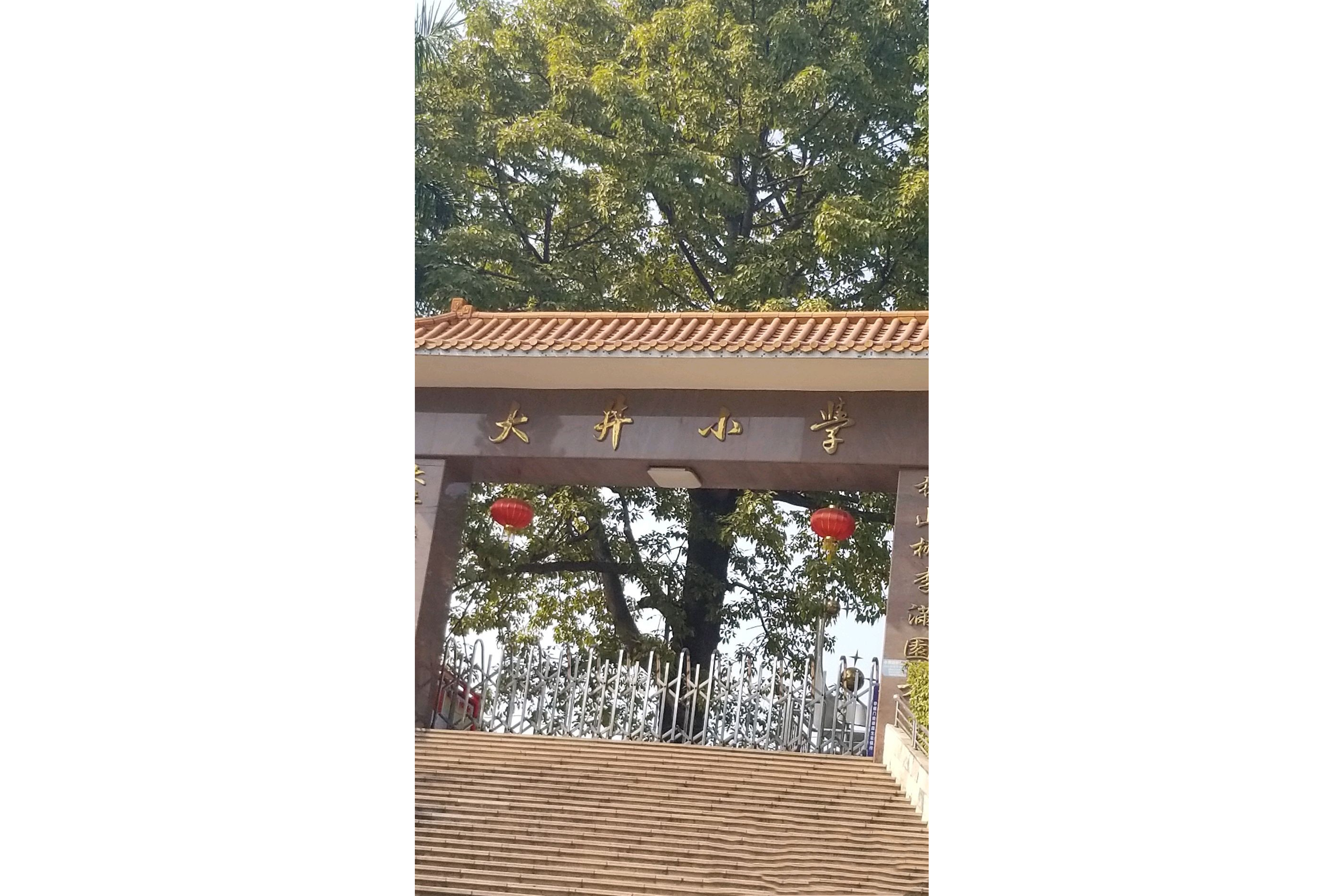 广州市南沙区大井小学