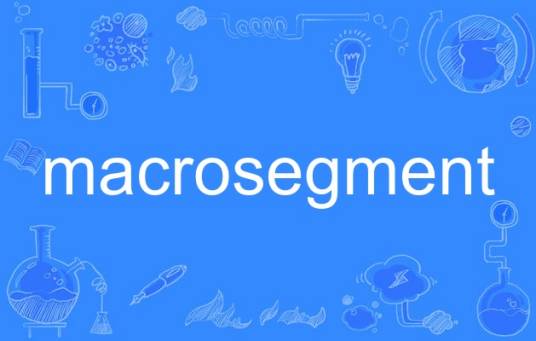macrosegment_百度百科