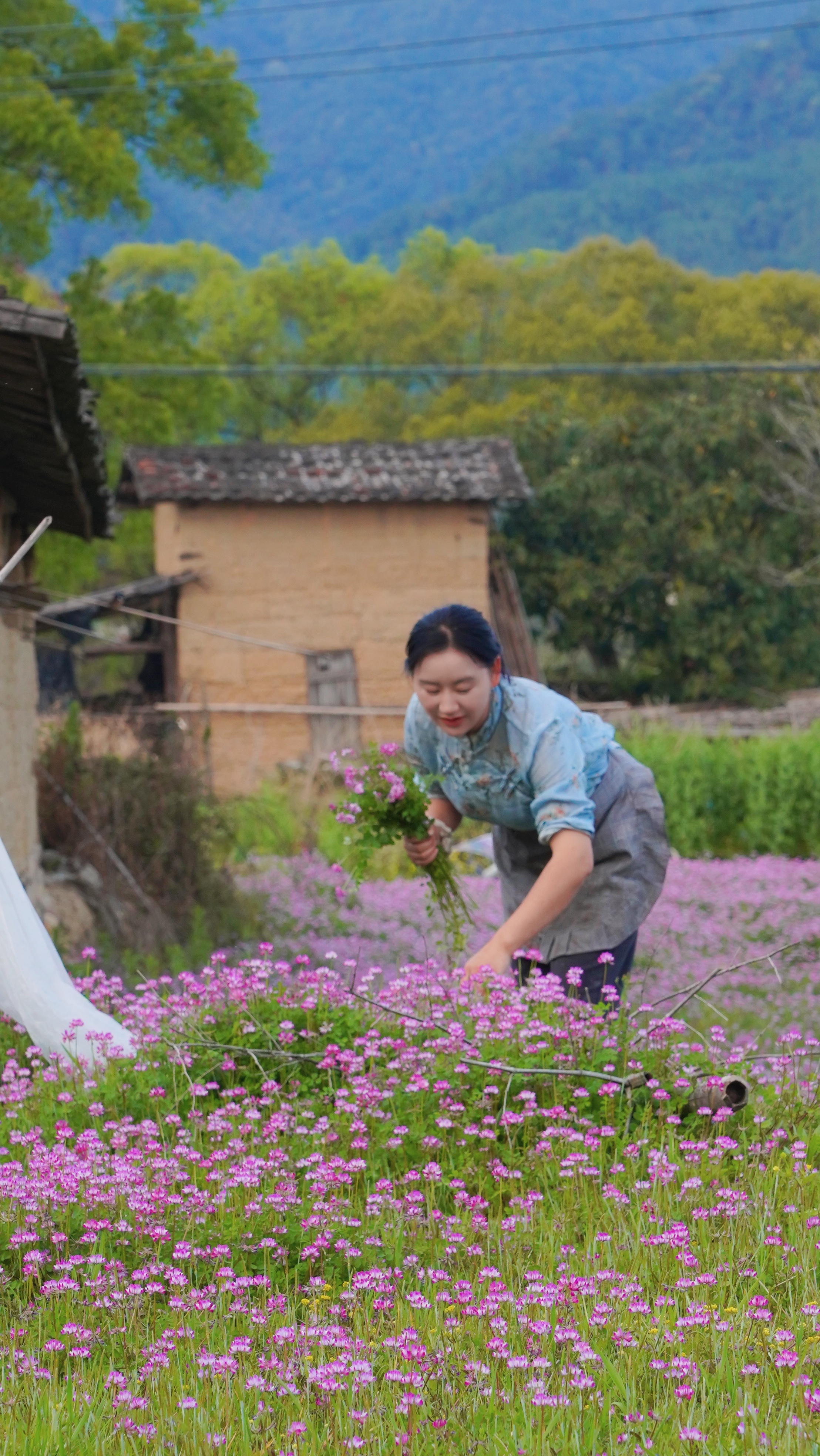  p data-id="sxnclydmx0os">沈丹,武夷山 a target="_blank" href="