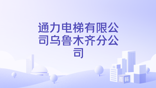 通力电梯有限公司乌鲁木齐分公司_百度百科