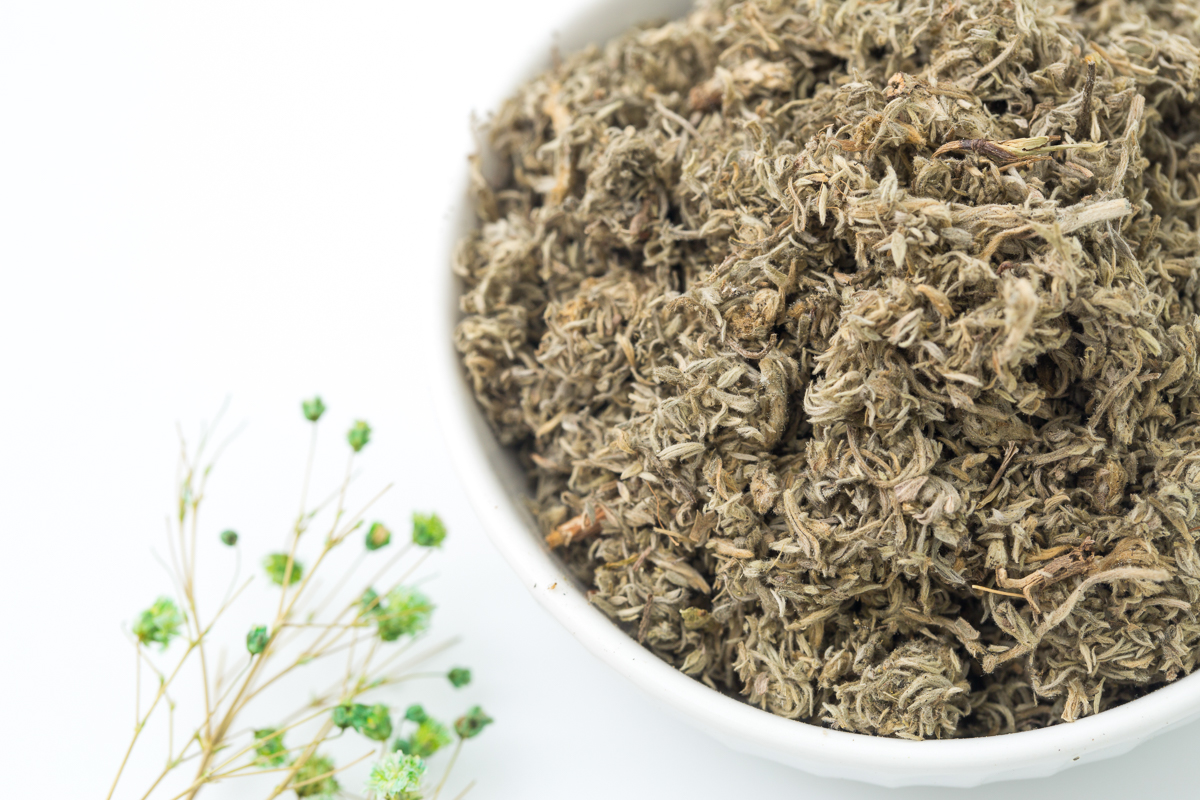  p>茵陈蒿(学名: i>artemisia capillaris /i> thunb.