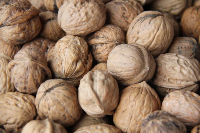 洛宁县豹子崖林区核桃