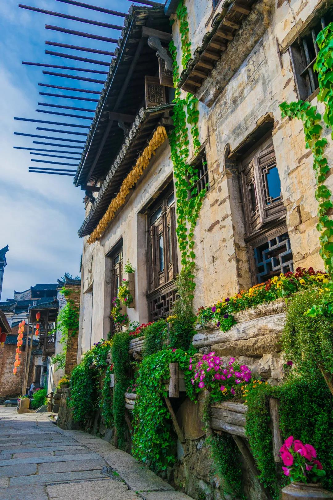  p>鲜花小镇位于 a target="_blank" href="/item/江西省/19438118"