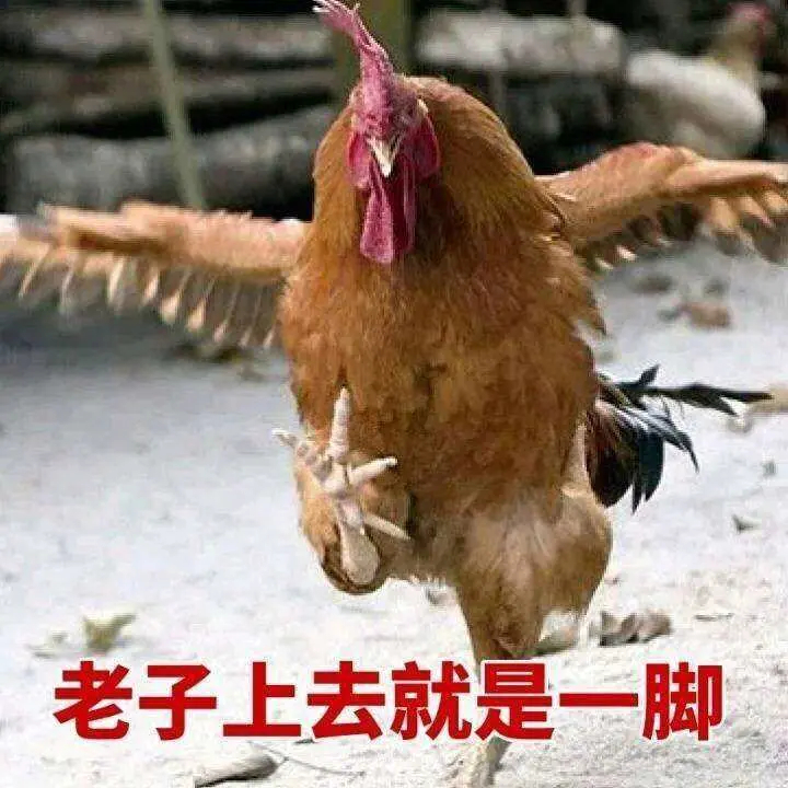 浙江大爷连续6次跨省偷的鸡，到底有多好吃？_百科TA说