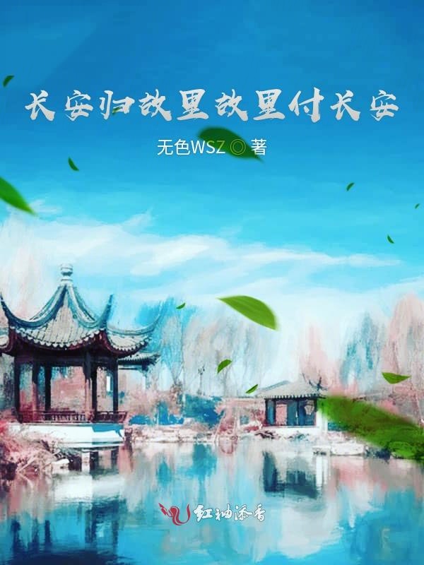 长安归故里故里付长安