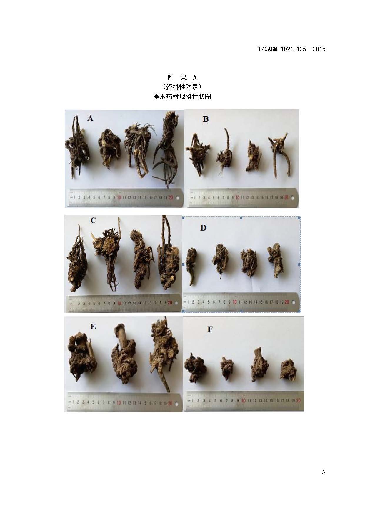 中药材商品规格等级—藁本