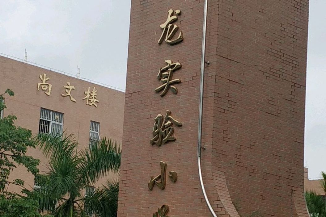 东莞市石龙镇实验小学