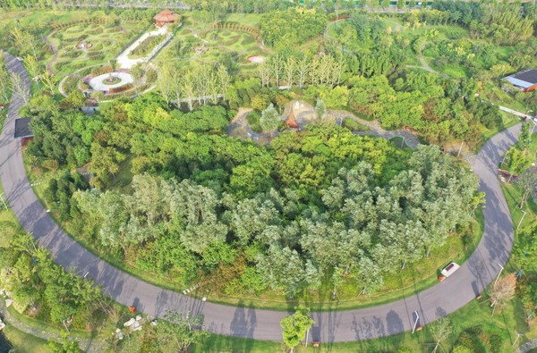  p data-id="seebkmnbepzm">阜阳植物园位于阜阳市城南新区东南角,北
