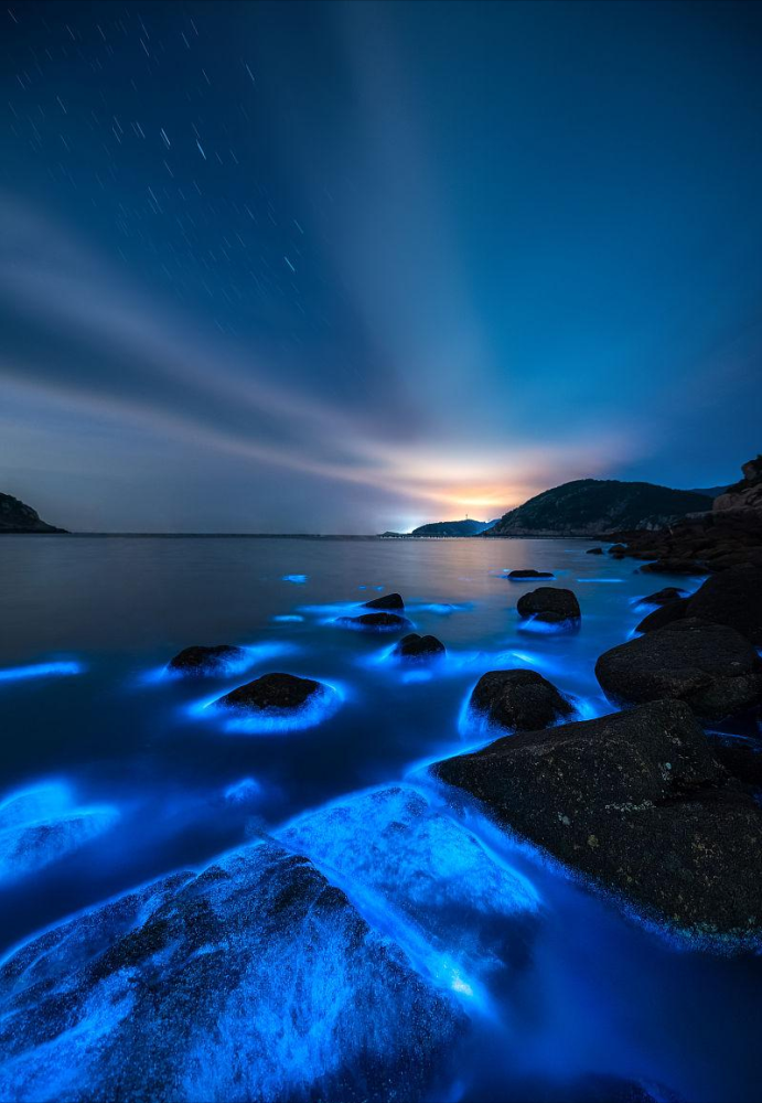  p data-id="gnvfo1z3yl">希氏弯喉海萤(学