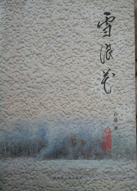 雪浪花（2008年黑龙江人民出版社出版的图书）_百度百科