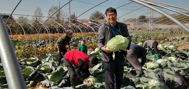 长庆桥镇,隶属于甘肃省庆阳市宁县,地处<a