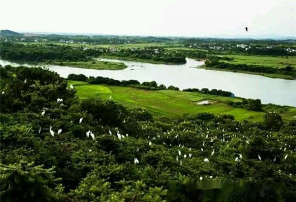 鹿岐峰森林公园