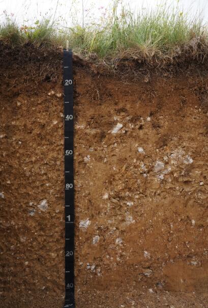 部分潮土,部分高山草甸 土,部分棕壤,部分 a href="#" data-lemmaid=