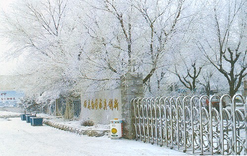  p>沈阳市第九中学前身为 b>满清皇学 /b>,始建于1737年,( a href="#"